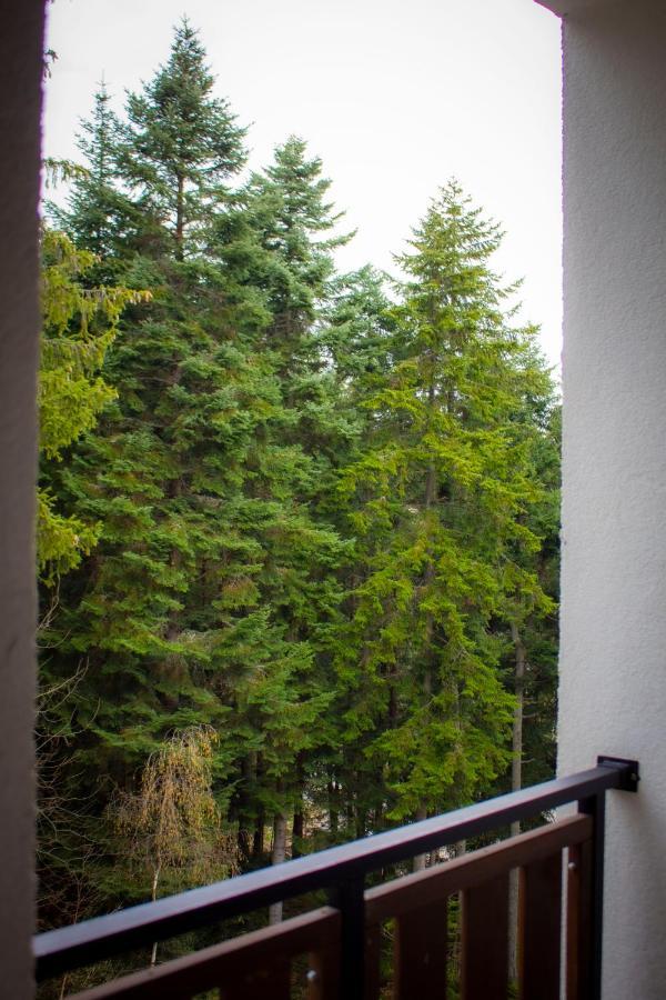 Borovets Gardens Studio Zewnętrze zdjęcie